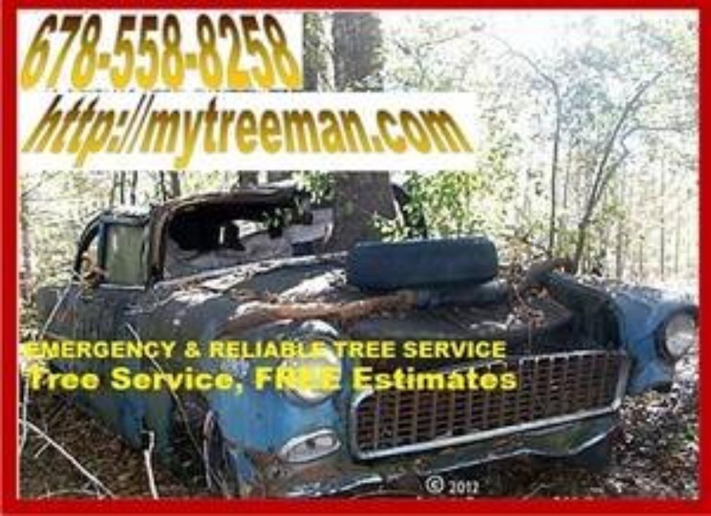 TREE SERVICE - TREE REMOVAL - TREE PRUNING - Visit website MYTREEMAN.COM