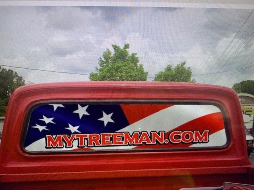 TREE SERVICE 🧡 TRIMMING 💋 TREE REMOVAL Service 🌝 (Over 96 / 5 star google (✅FREE ESTIMATES METRO