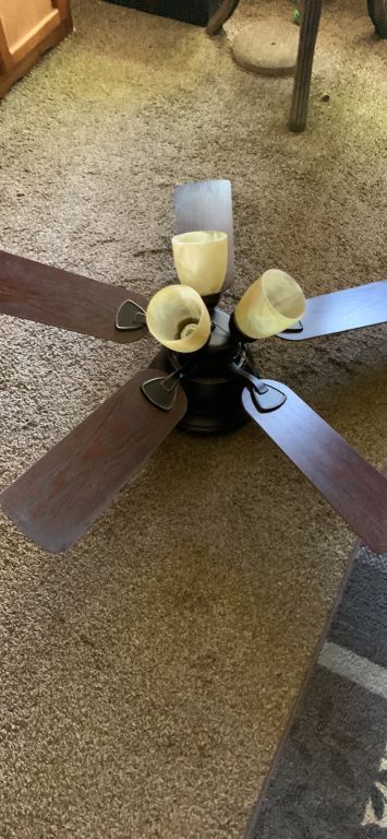 Ceiling fan/light