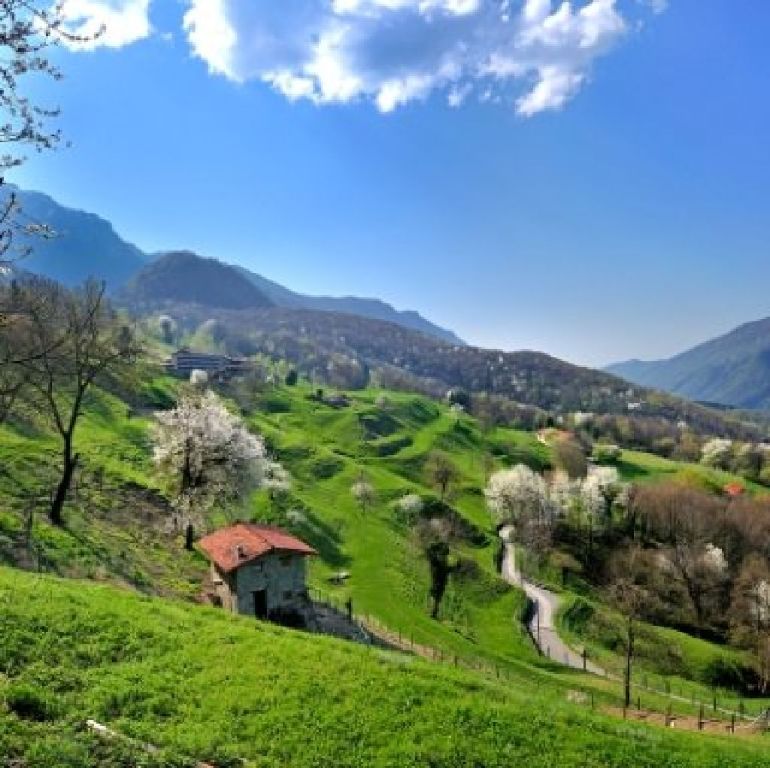 Junk Removal Lenexa KS | Snow Removal In Lenexa