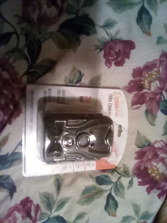 New Trail Cameras and New SD. Micro Cards