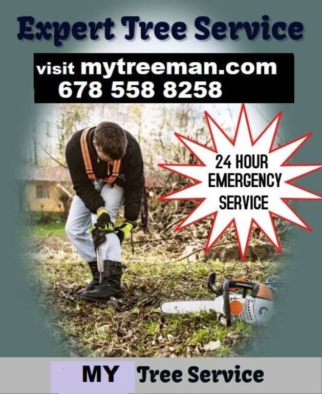 TREE SERVICE -TRIMMING -TREE REMOVAL Service 🌳🌲 (✅FREE ESTIMATES METRO ATLANTA