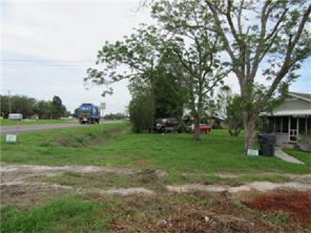 OVER 100 30-FT TALL OAK TREES, LARGE PECAN TREES AND TANGERINE TREES ON PROPERTY.