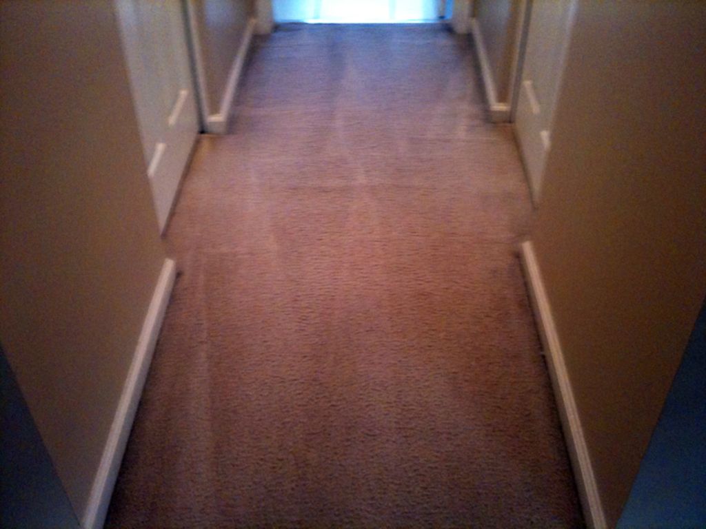 IICRC Trained & Certified - Carpet, Uph, Tile...