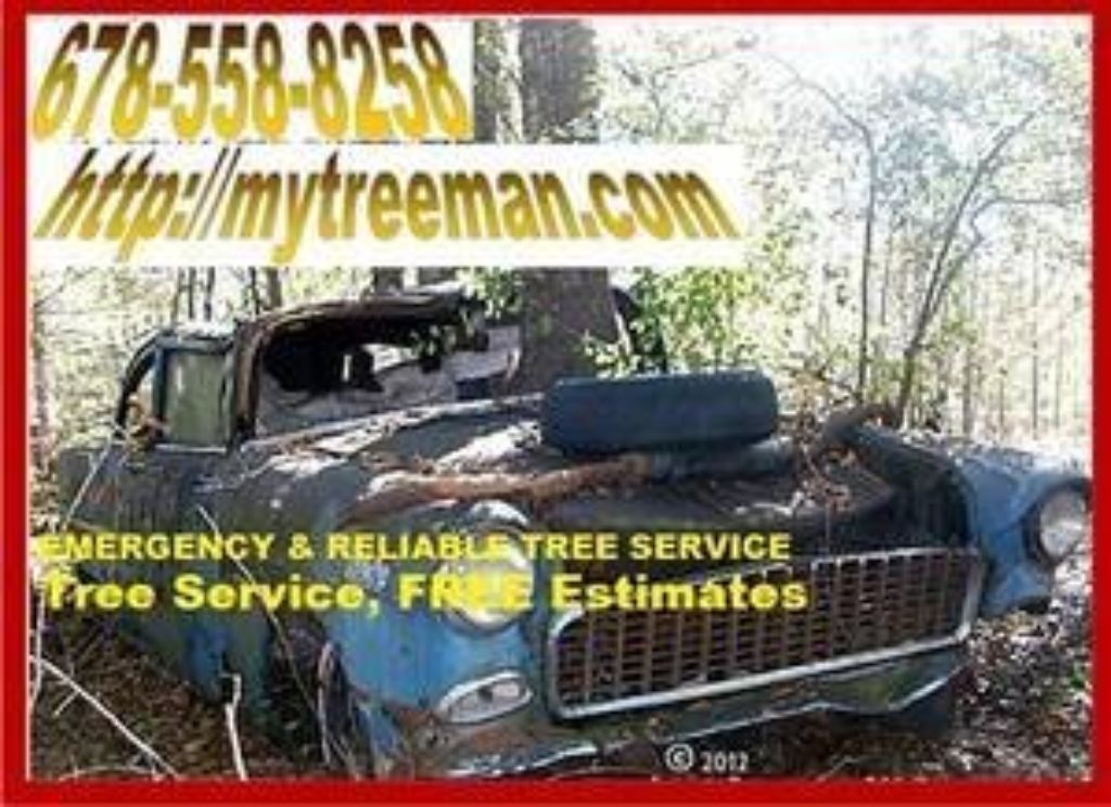 TREE CUTTING 〓 .TREE CUTTING, TREE REMOVAL ♛ (FREE ESTIMATES, AVAILABLE