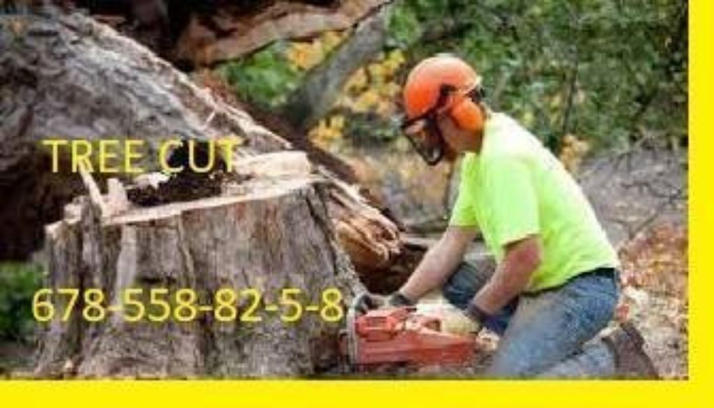QUALITY AND AFFORDABLE TREE SERVICES | FREE ESTIMATES Over 96 . 5 star reviews google