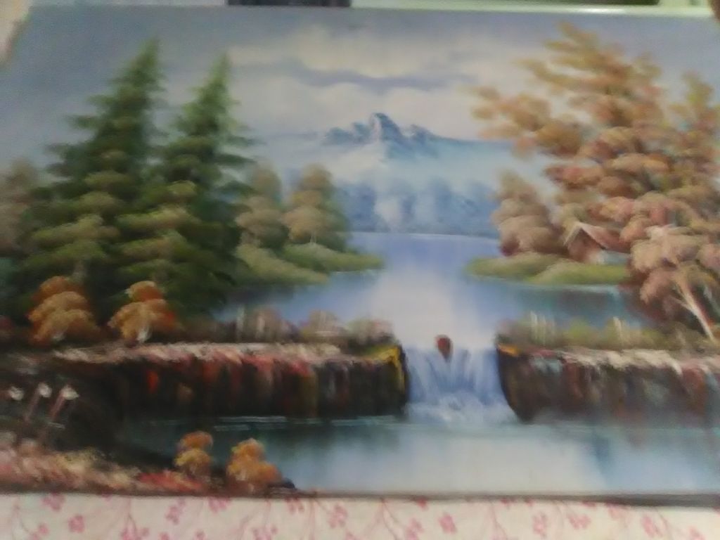 2 canvas paintings