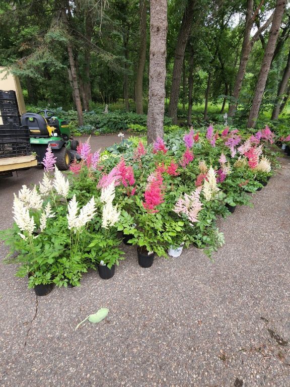 Perennial Plant Sale - 2023