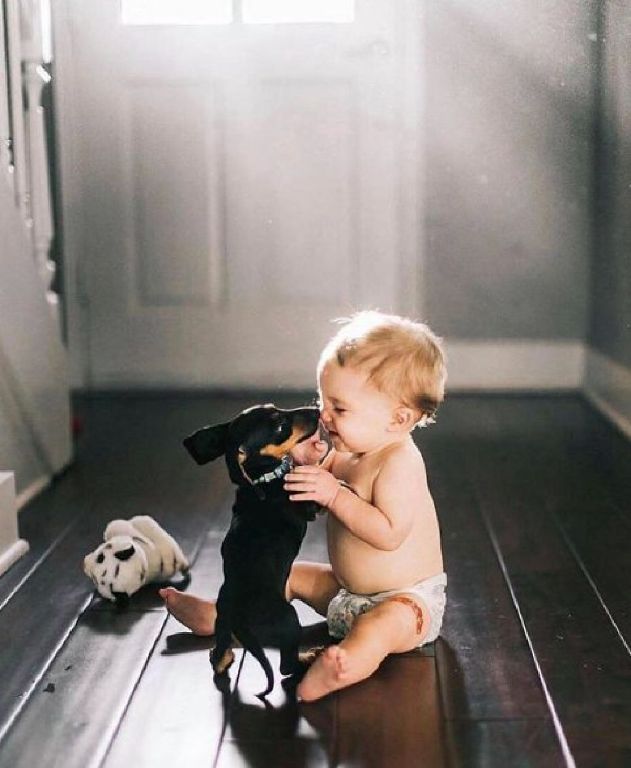 Pet holiday care Los Angeles - BoneSweetBone