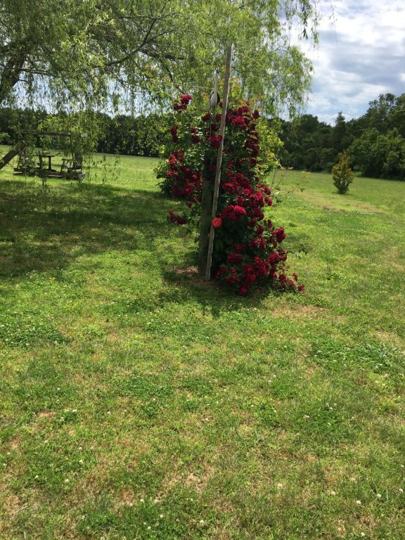 14.9 Acres With Mobile Home Near Parksley VA - SOLD!