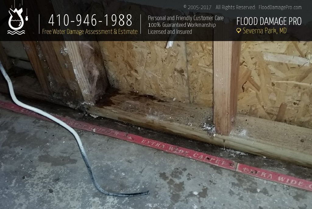 Water Damage Restoration in Severna Park, MD