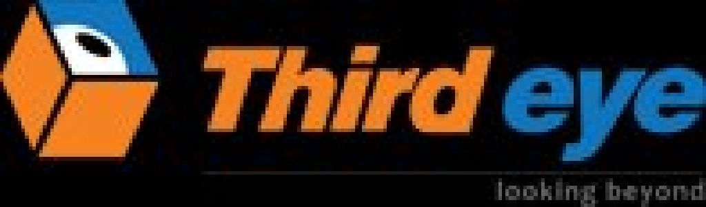 Software development industry