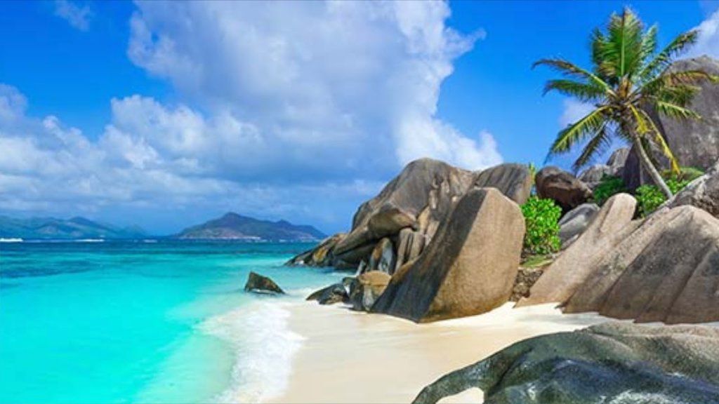 Seeking Holistik, Plant Based Place Vibe, Studio, Casita, Share, Tiny House, Beach