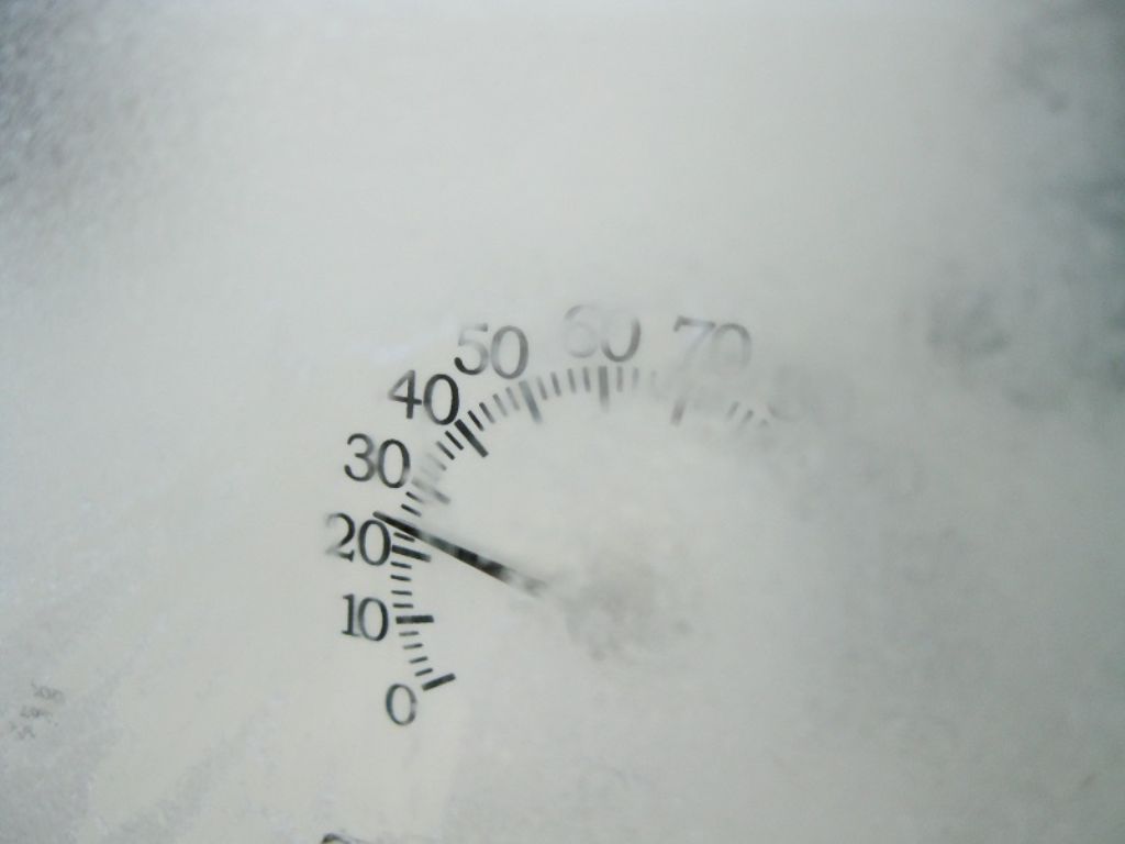 NEW YEAR SPECIAL - 5' Tall Portable Handcrafted Chicken Coop Hen House For 2-15 Chickens