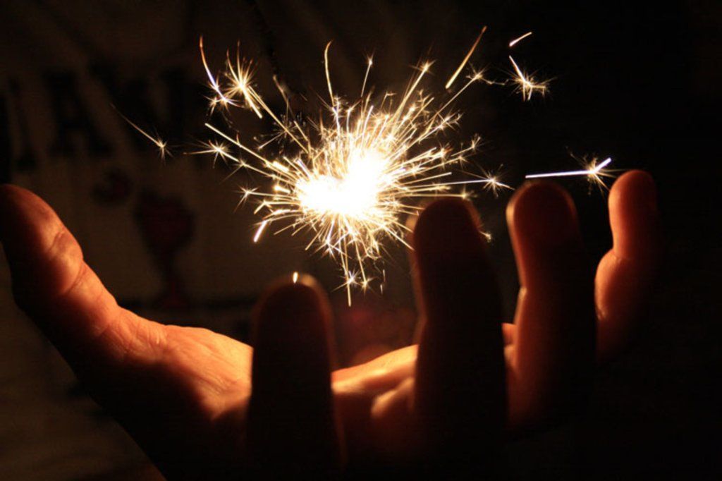 AFFORDABLE 〓 TREE CUTTING SERVICE 〓 Tree Removal (Over 96 / 5 Star Google