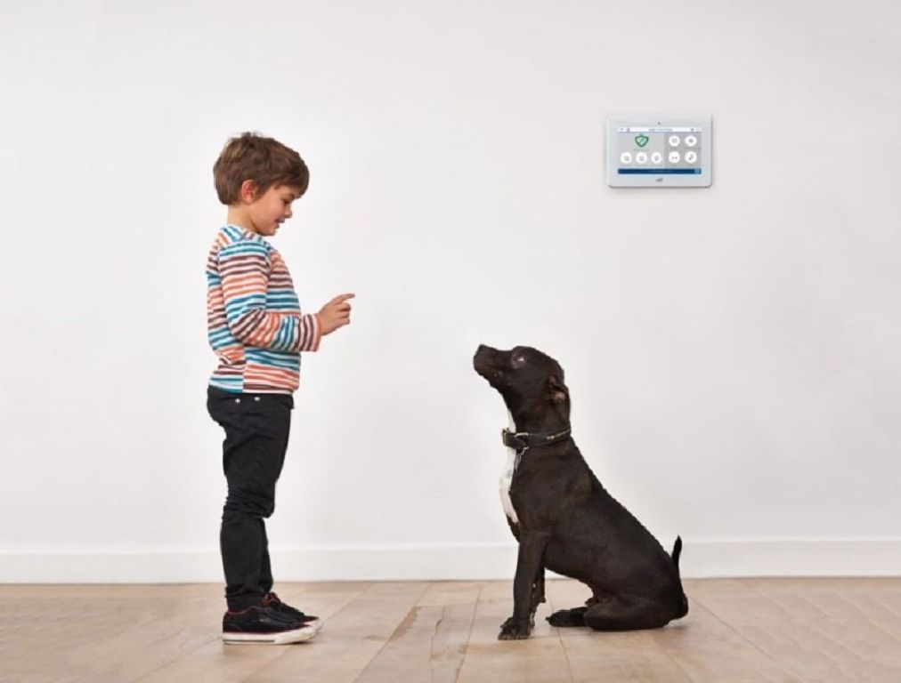 Zions Security Alarms - ADT Authorized Dealer