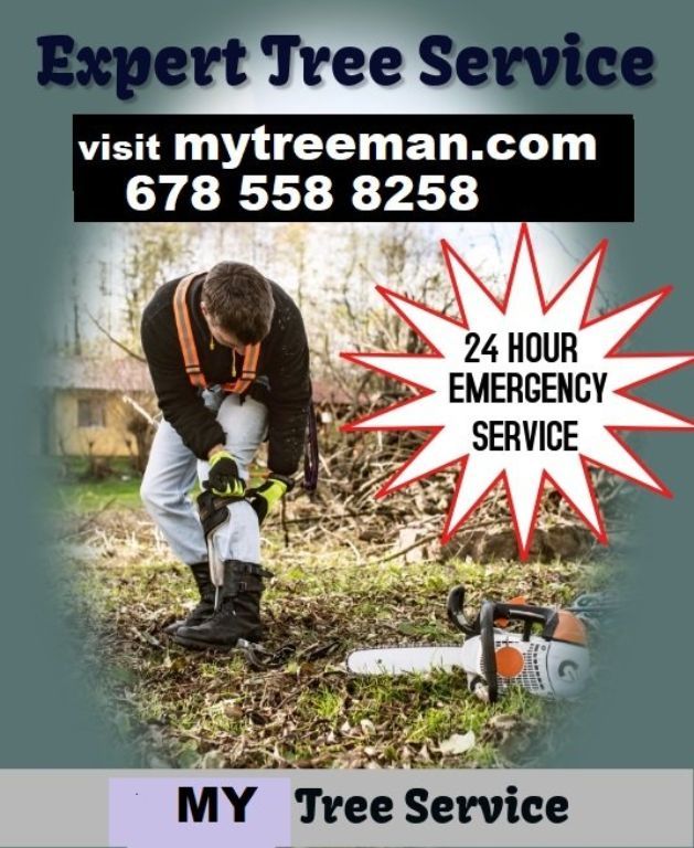 ⚡ TREE SERVICE 🧡 TRIMMING TREE REMOVAL Service 🌝 (Over 96 5 star reviews Google ✅FREE ESTIMATES