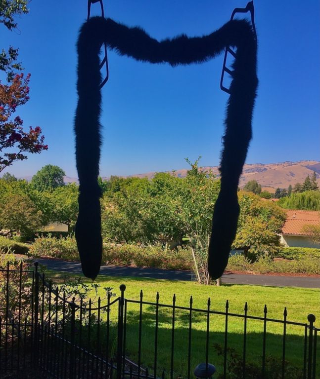 JUST lowered! ~ 2 Lovely, Genuine Fox Furs: 1 Black Boa with Tails & 1 Beige Collar