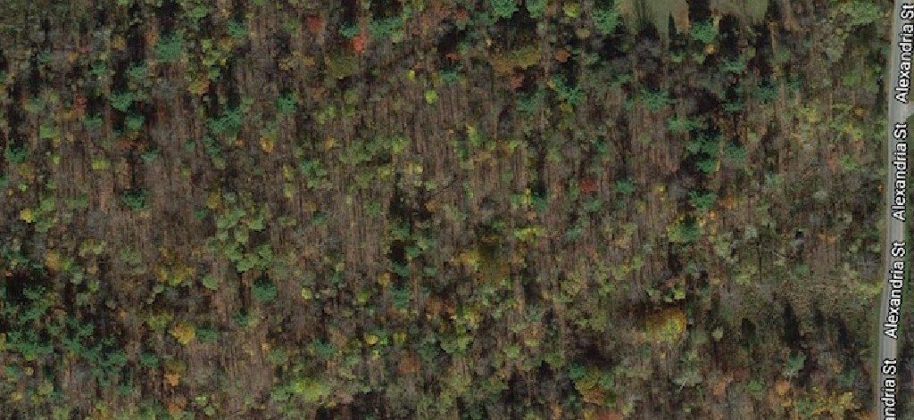 LAND For Sale (43.3 acres) near Ft. Drum (Carthage, NY)