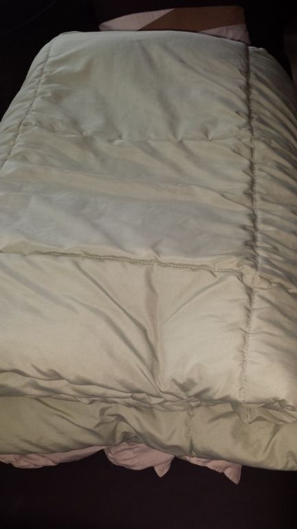 2 twin comforter light green