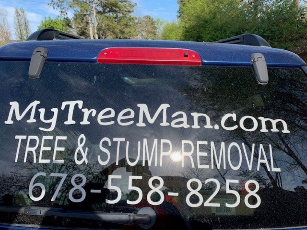 TREE SERVICE -TRIMMING -TREE REMOVAL TREE SERVICE  TRIMMING   TREE REMOVAL Service