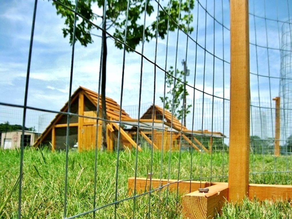 ON SALE - Portable Coop for Free-Range Chickens RANCH-COOP.COM