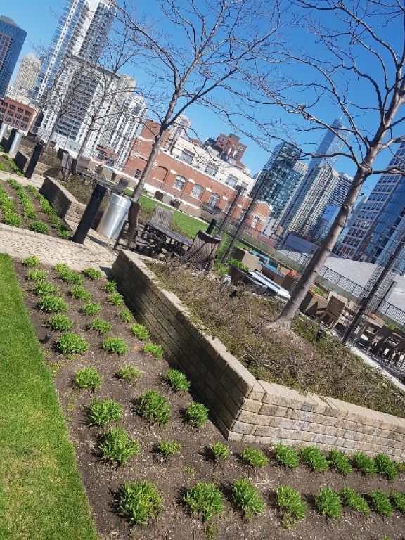 River North FURNISHED 1BR 1BA on 30th floor - floor to ceiling windows