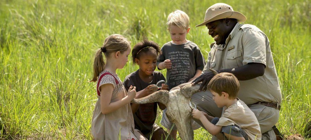 Africa Flash McTours and Travel