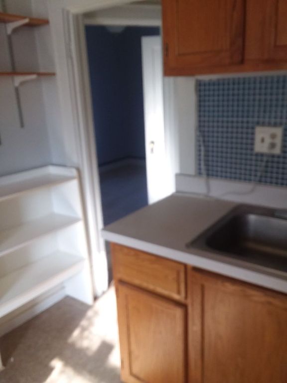 Luxury flat 1br+ - newly remodeled stove/frig- provided.
