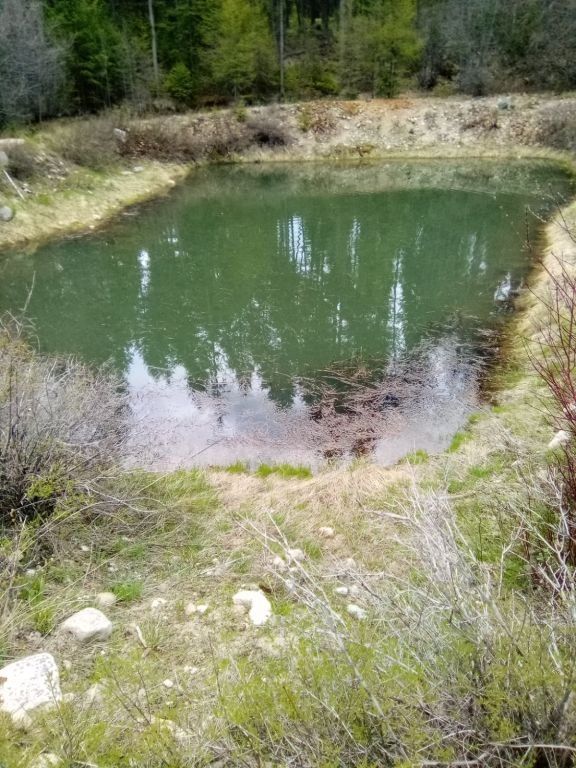 Self sufficient homestead on 80 acres