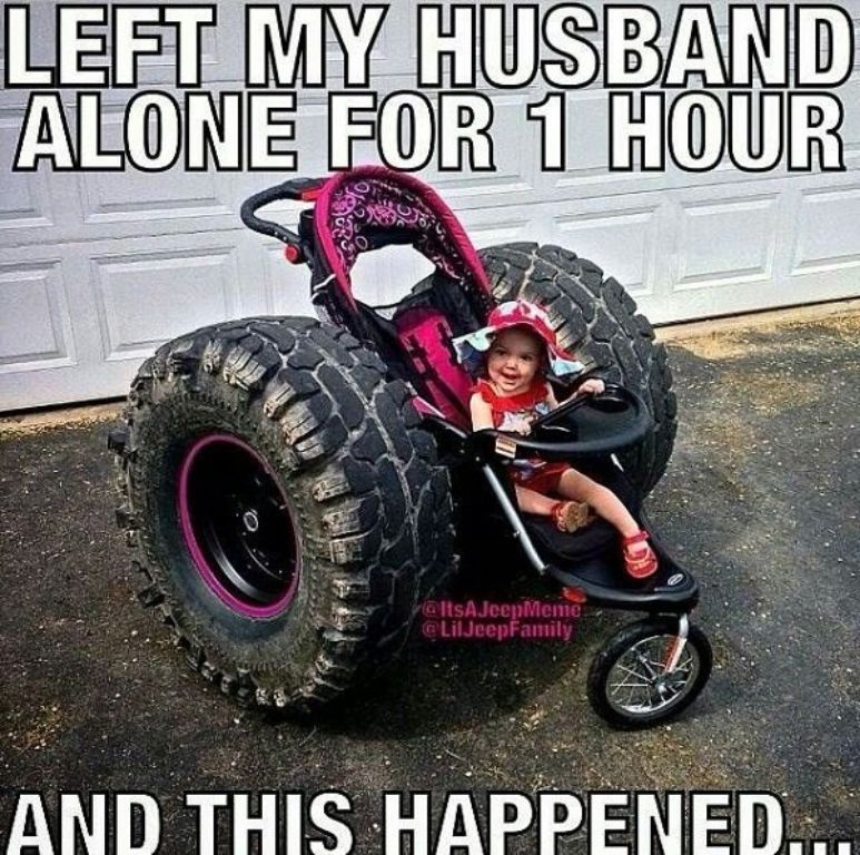 TREE SERVICE - TREE REMOVAL - TREE PRUNING - Visit website MYTREEMAN.COM