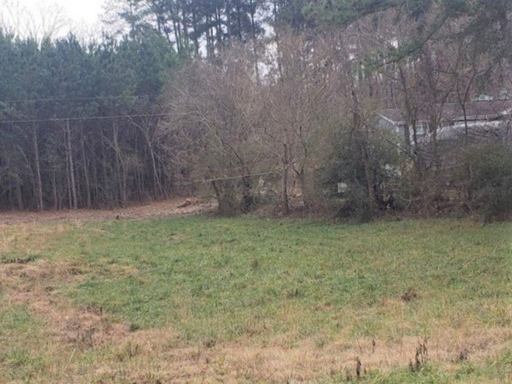 NO FLOOD ZONE Commercial land Dunlap