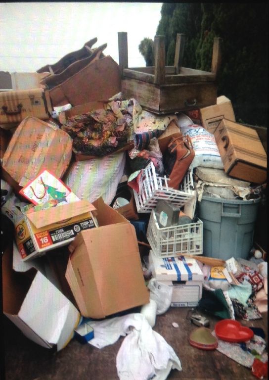 Hoarding cleanup / junk removal service