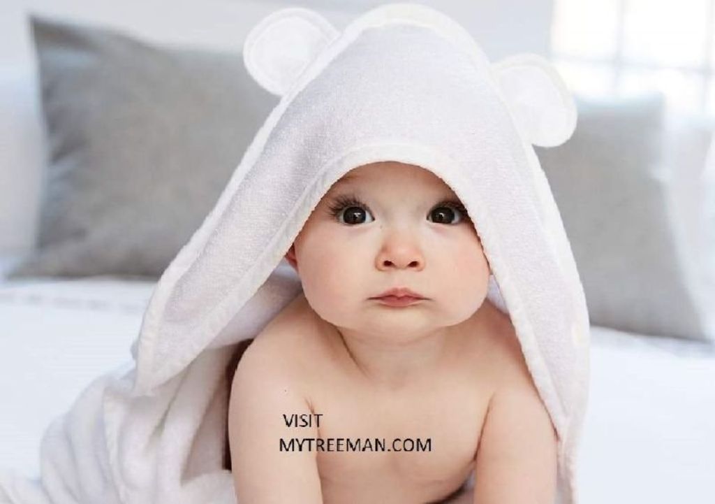 TREE SERVICE 🧡 TRIMMING 💋 TREE REMOVAL Service 🌝 (Over 96 / 5 star google (✅FREE ESTIMATES METRO