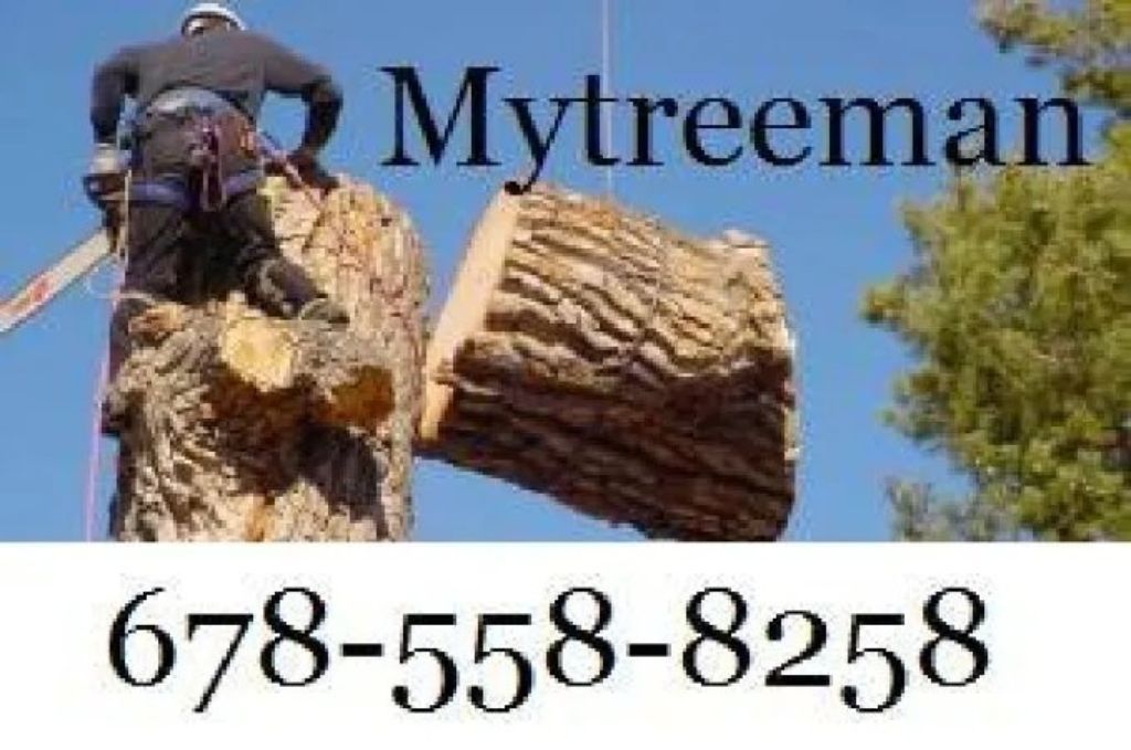 TREE SERVICE 🧡 TRIMMING 💋 TREE REMOVAL Service 🌝 (Over 96 / 5 star google (✅FREE ESTIMATES METRO