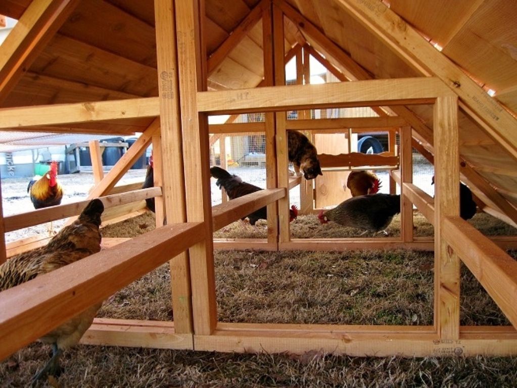 ON SALE - Large and Portable 20-36 Chickens Coop Hen House For Sale- a video shows how we winterize them