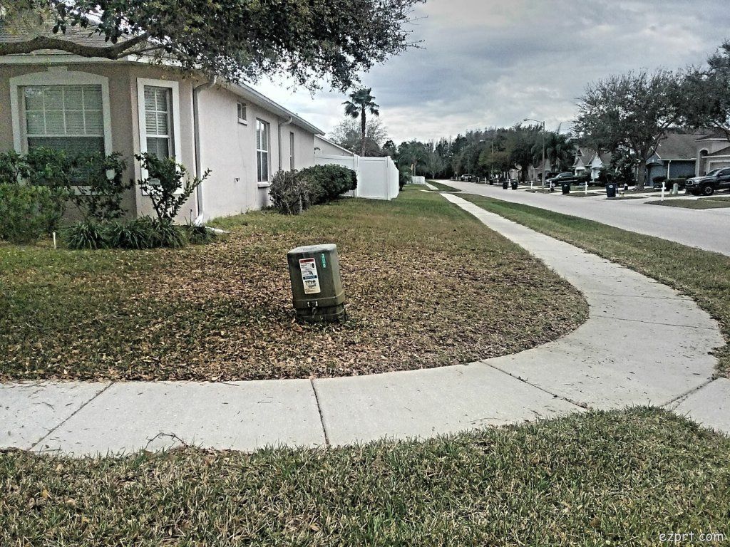 Grass cutting services in Tampa Citrus Park Carrollwood.