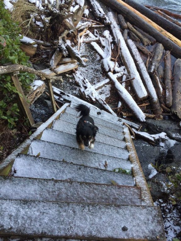 Beachfront 29' Alpenlite for one