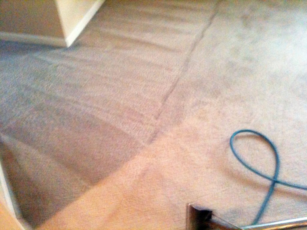 Best Carpet Cleaning in Coconut Creek