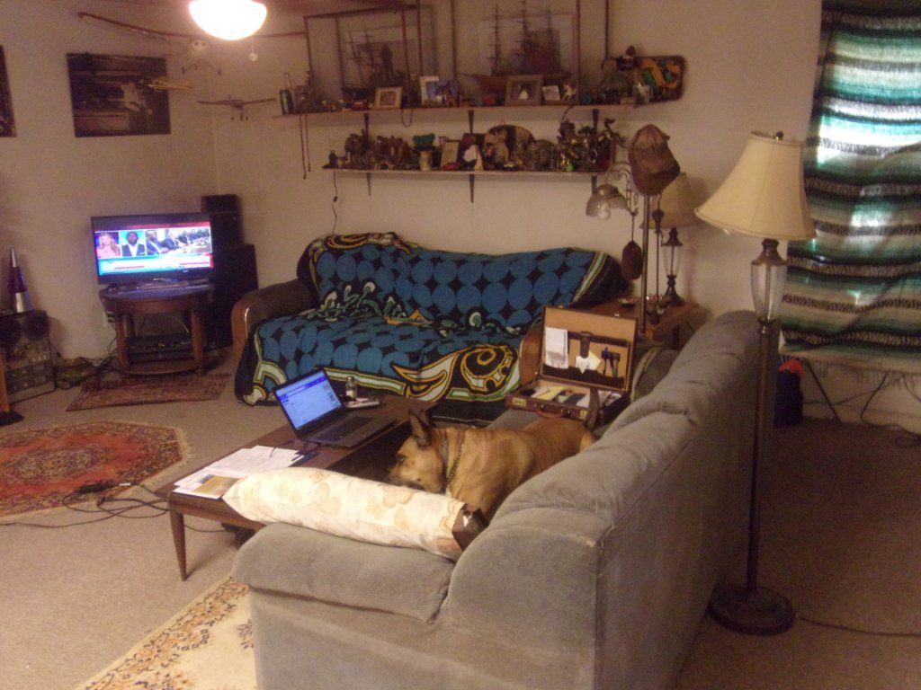 Female for house share on small farm