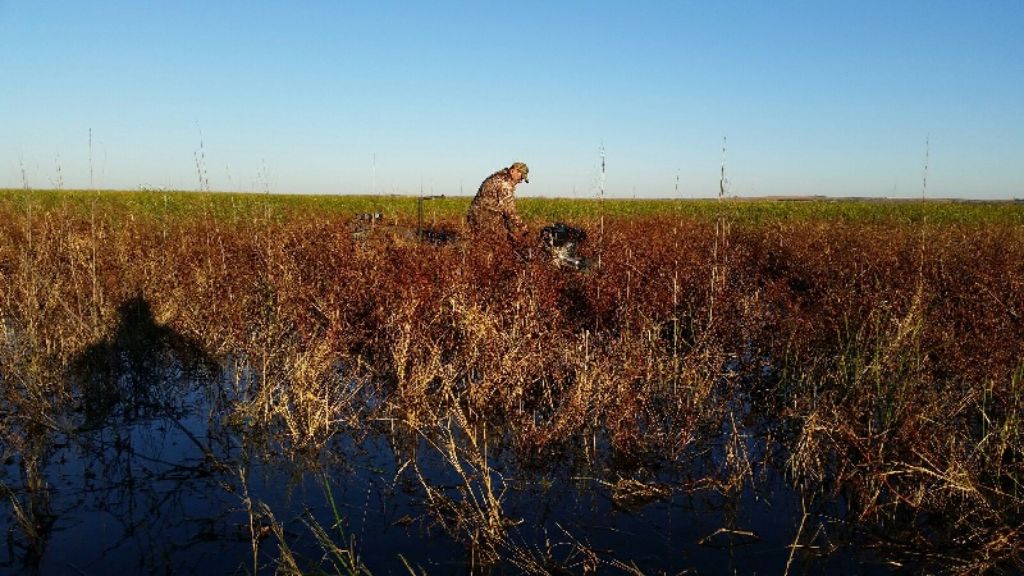 13 HP longtail duck boat motor NEW