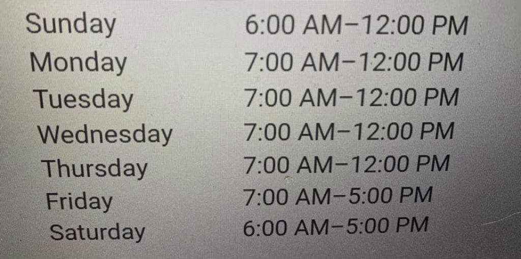 Shiners Ice Fishing Bait Medium Shiners and Heavy Medium Shiners