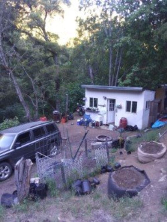 Ranch with cabin 42 acres