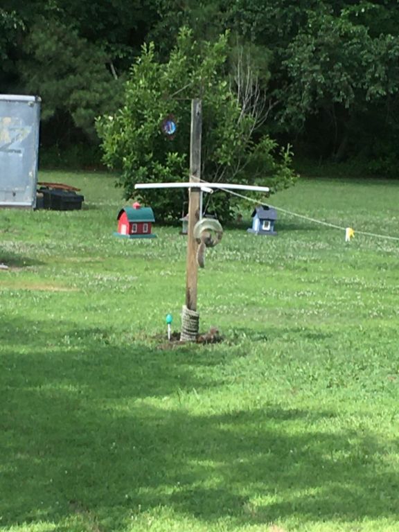 14.9 Acres With Mobile Home Near Parksley VA - SOLD!