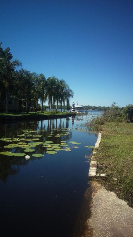 Nice Quiet Waterfront Property On Big Ski Lake! Haines City FL!