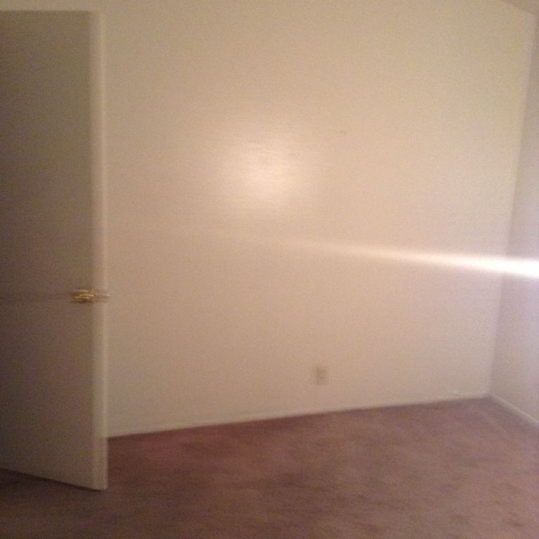 Private room for rent Apt one bath