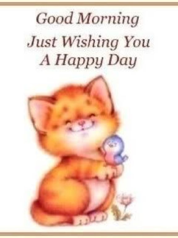 Need Apartment Cleaning