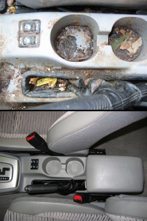 Mobile Auto Detailing