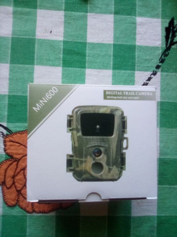 New Trail Cameras and New SD.Cards