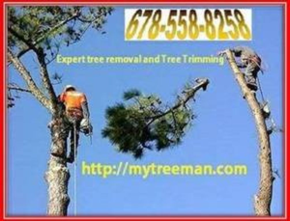 Tree Removal Services in Atlanta GA |Tree Removal Service (Over 99 5 star google FREE ESTIMATES